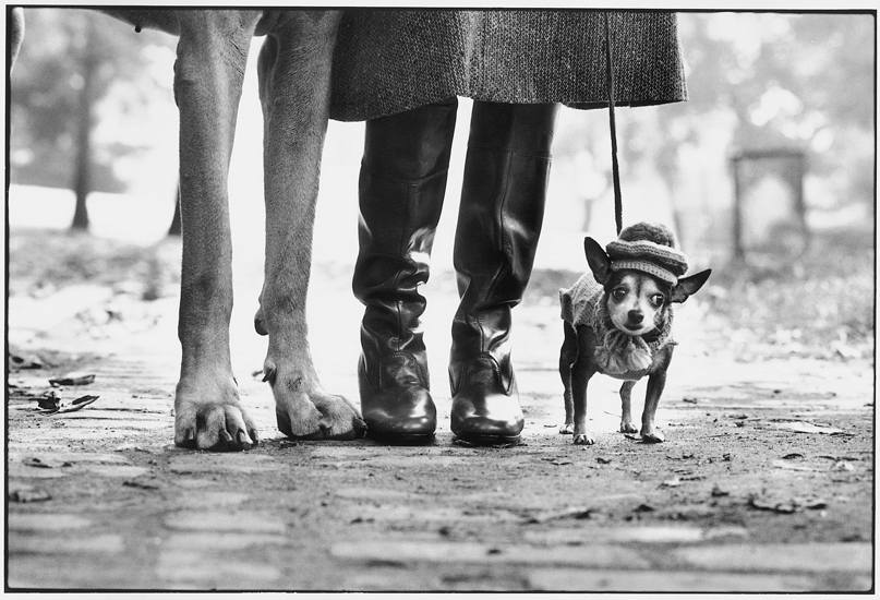 New York, 1974 by Elliott Erwitt