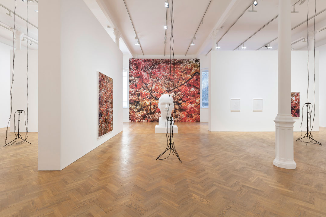 Installation view of Bloom, Trevor Paglen's new exhibition at Pace, London, September 2020