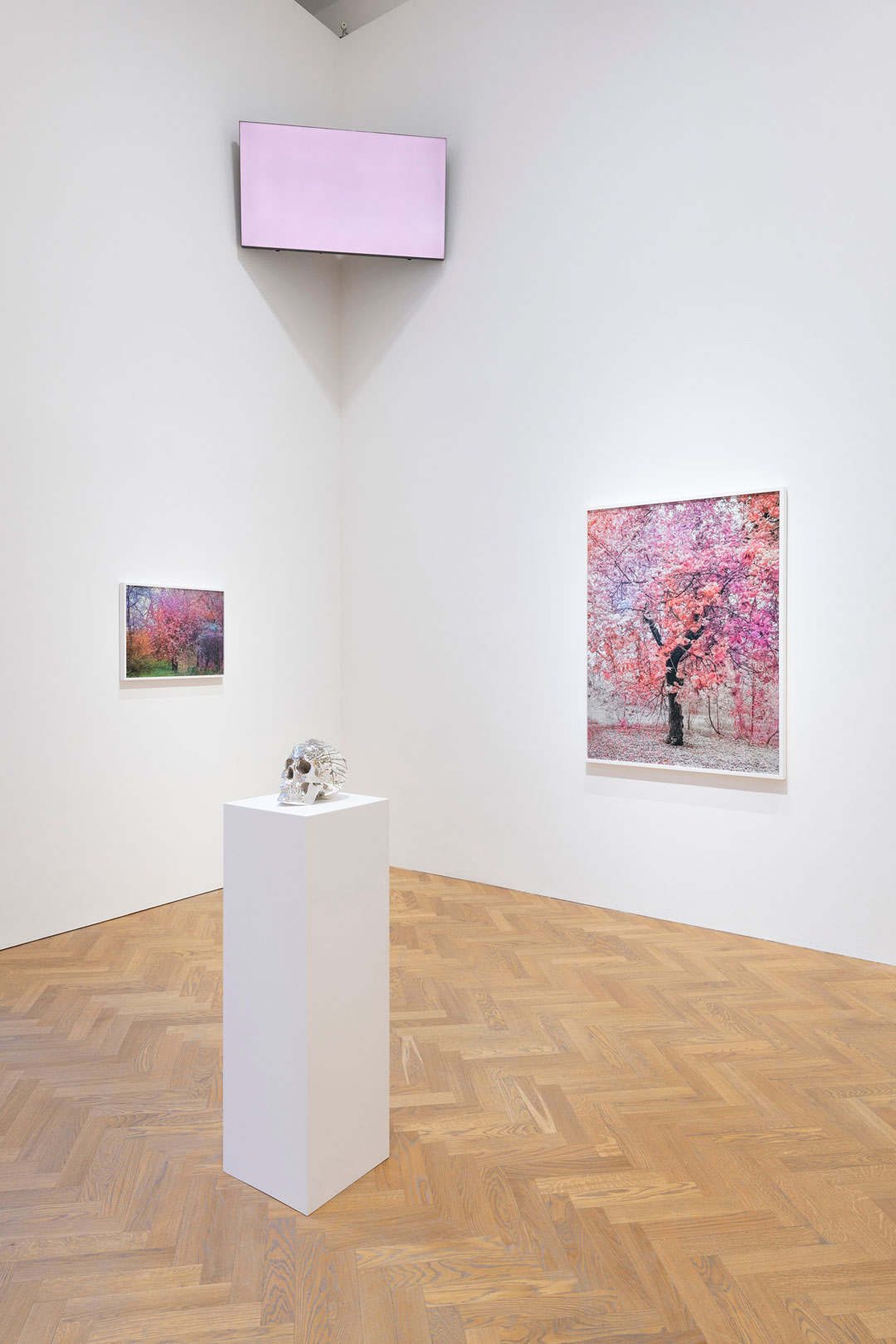 Installation view of Bloom, Trevor Paglen's new exhibition at Pace, London, September 2020