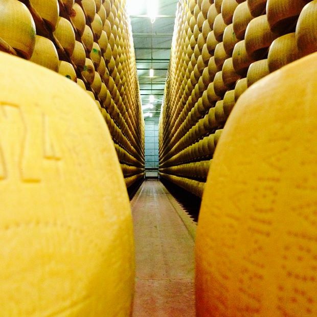 Cheeses, as featured in Bottura's Instagram feed