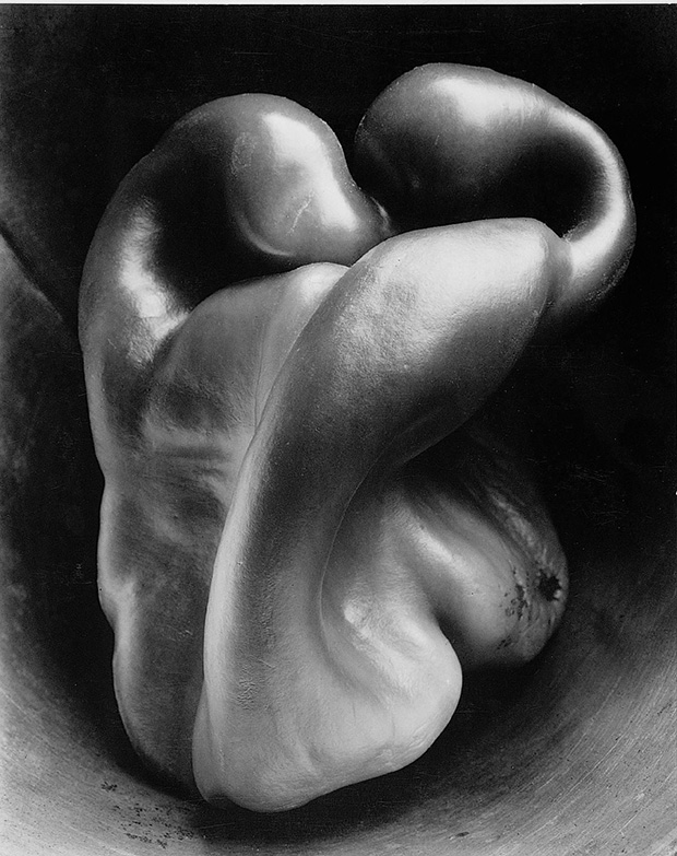 Edward Weston, Pepper No. 30, 1930, as reproduced in The Art of the Erotic