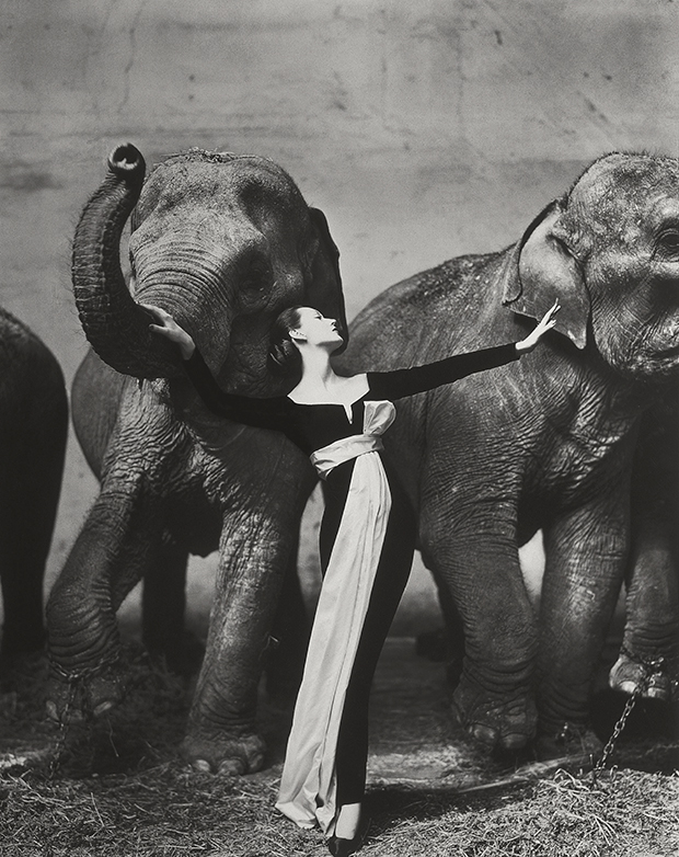 Dovima with Elephants, 1955 - Richard Avedon, from the Photography Book