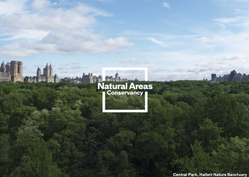 Pentagram's identity for the Natural Areas Conservancy uses Meyerowitz's photography