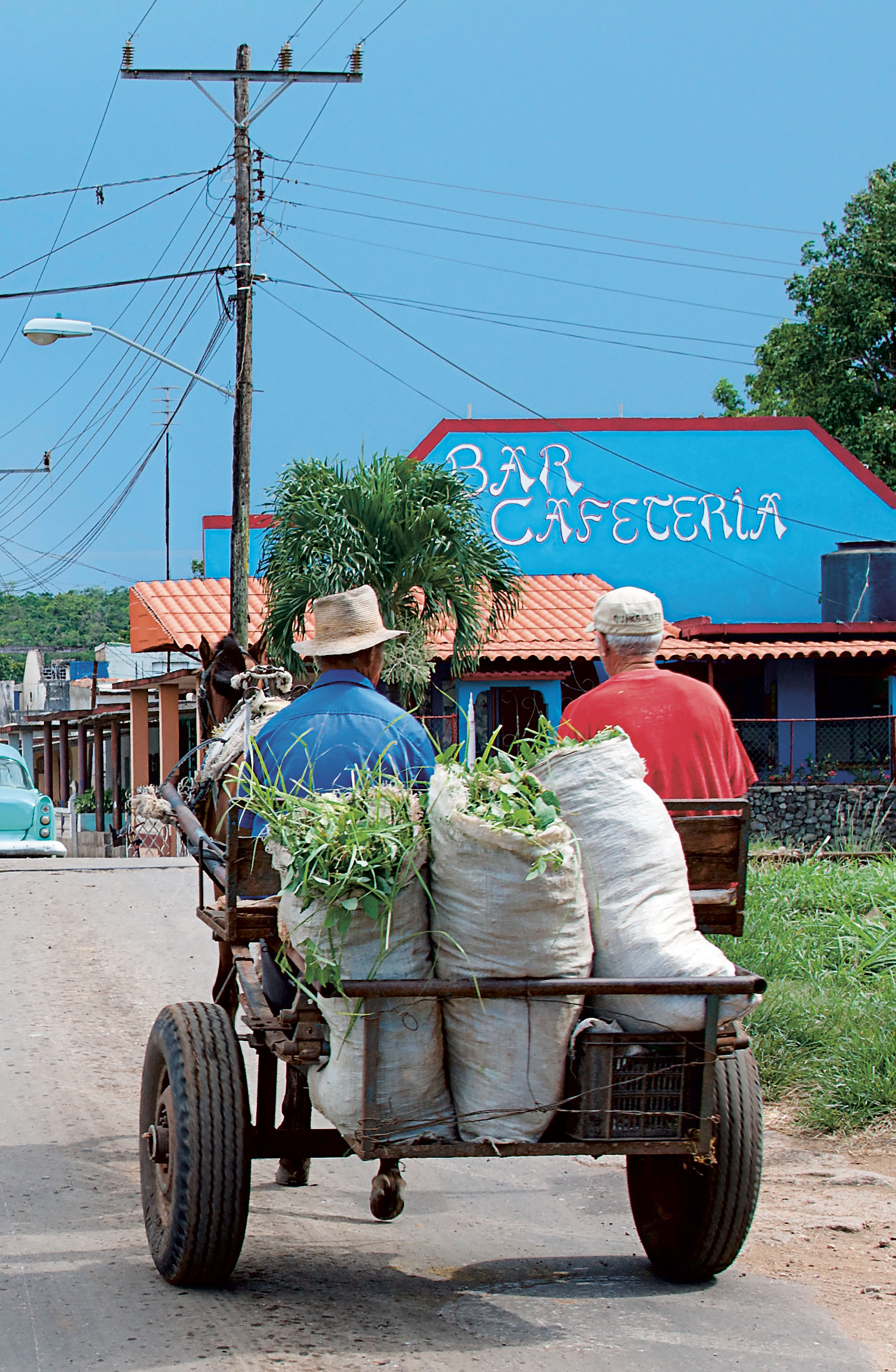 Produce going to market in Cuba
