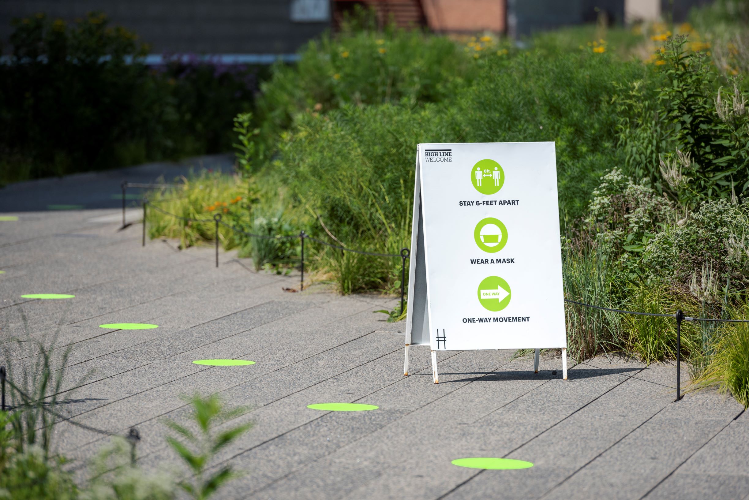 Pentagram's new environmental graphics for the High Line