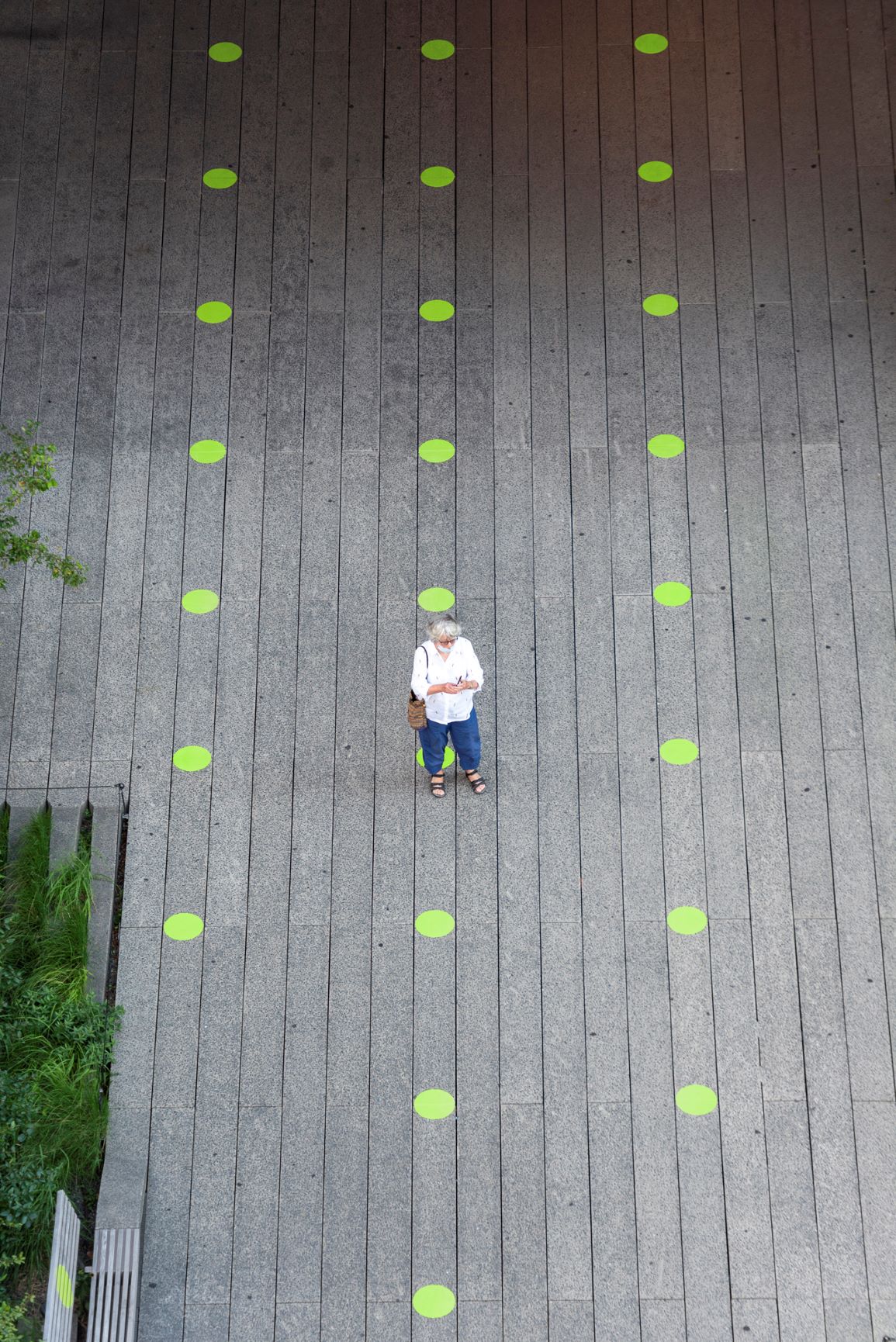 Pentagram's new environmental graphics for the High Line