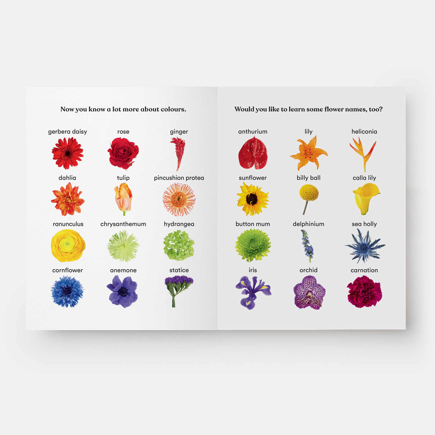 Pages from Rainbows in Bloom