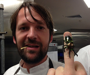 Chef and insect lover René Redzepi