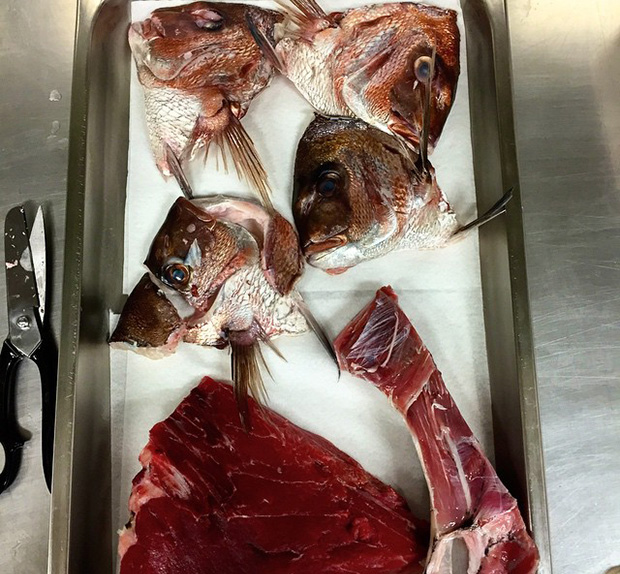 Fish cuts for Noma Japan. Image courtesy of Réne Redzepi's Twitter feed