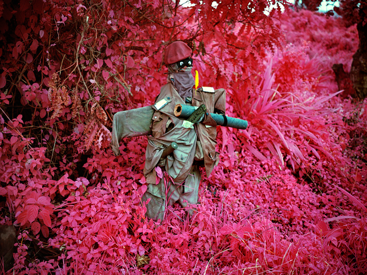 Richard Mosse, Infra (2010), Democratic Republic of Congo