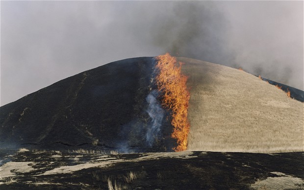 Rinko Kawauchi, Untitled, from the series Ametsuchi, 2012