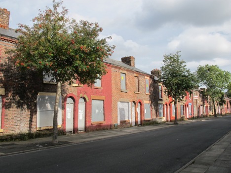 The rowans on Madryn Street,  where Ringo once lived