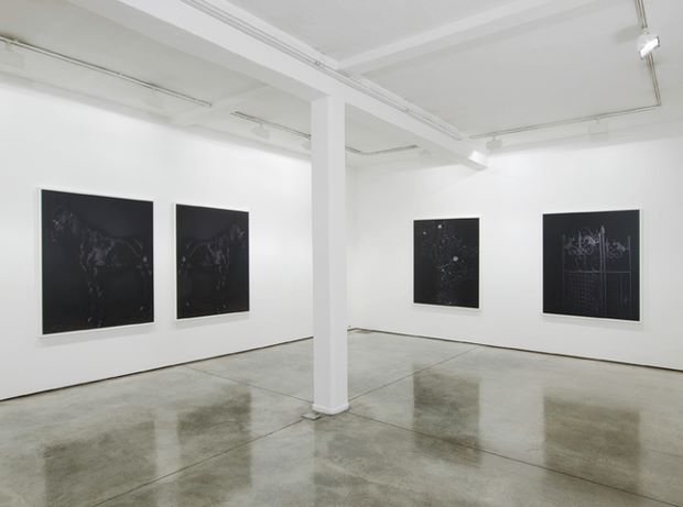 Installation view from Sarah Jones's 2014 Maureen Paley exhibition