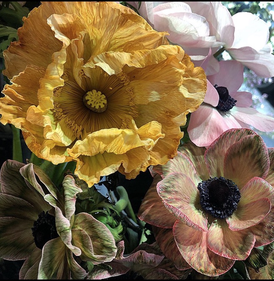 A floral arrangement by Odorantes, Paris