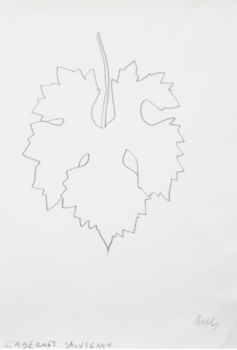 Ellsworth Kelly, Cabernet Sauvignon, 1982, graphite on paper, 22 x 15 in., Blanton Museum of Art, The University of Texas at Austin, Gift of Douglas S. Cramer, 2017, © Ellsworth Kelly Foundation