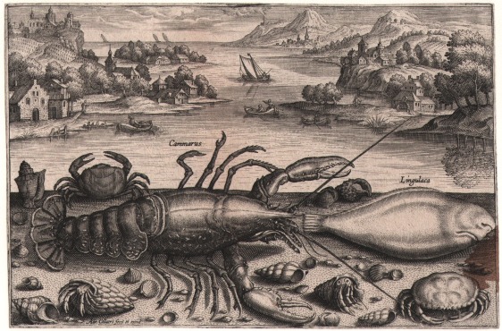 Adriaen Collaert, c.1560-1618 Lobster, sole, crabs and hermit crabs against a coastal background Engraving from the series Piscium Vivae Icones, 24 plates, FIRST edition, 1598 Courtesy: Christopher Mendez 