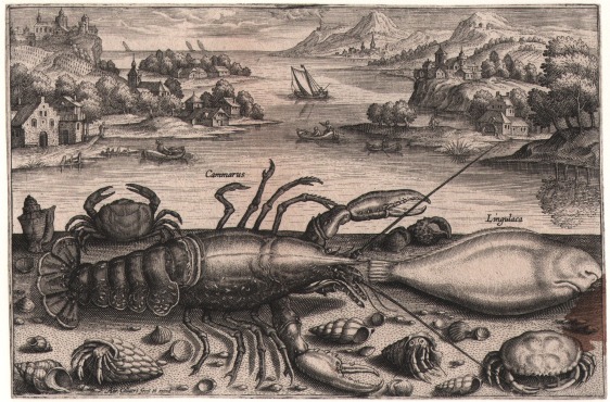 Adriaen Collaert, c.1560-1618 Lobster, sole, crabs and hermit crabs against a coastal background Engraving from the series Piscium Vivae Icones, 24 plates, FIRST edition, 1598 Courtesy: Christopher Mendez
