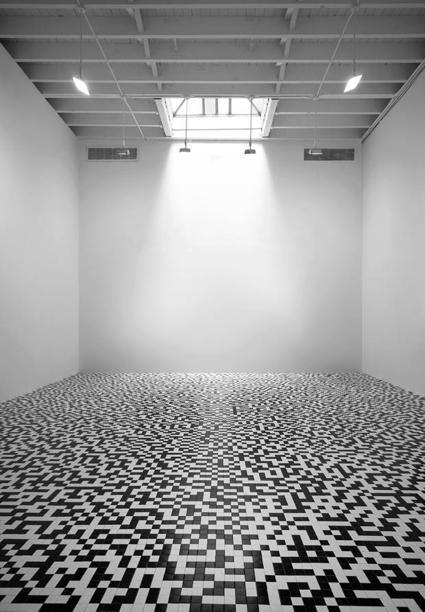 50/50 Floor (2008) - Tauba Auerbach