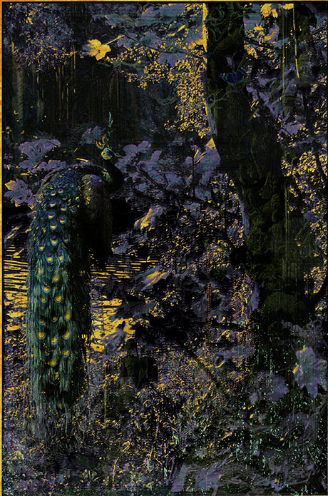 Garden No.14 (2013) by Aki Lumi, courtesy of Vanguard Gallery, Shanghai