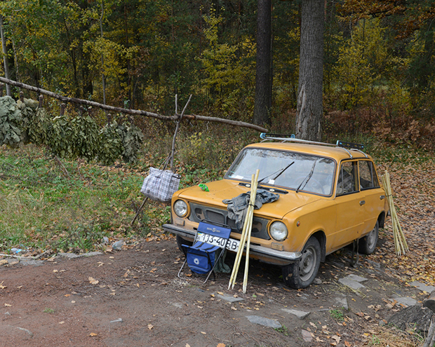 Stephen Shore, Shnuriv Lis, Ukraine, October 16, 2013