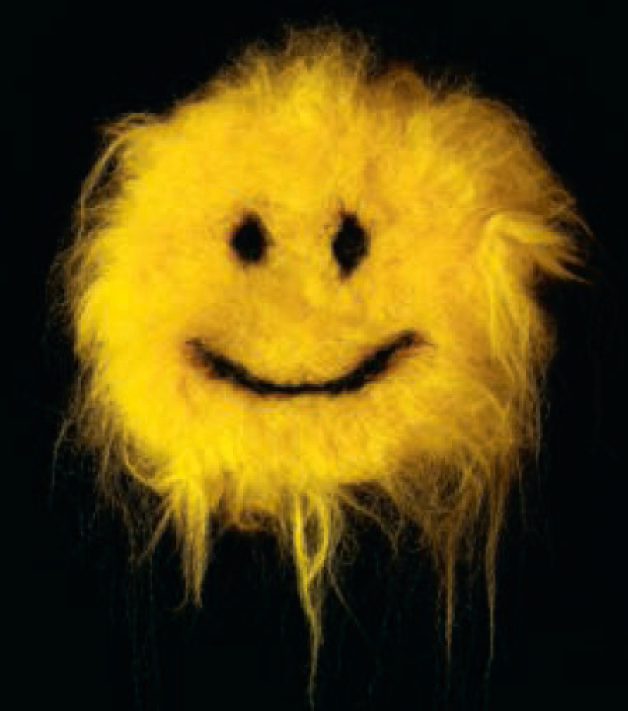 Fuzzy Smiley 2011 - Synthetic hair extensions and wood