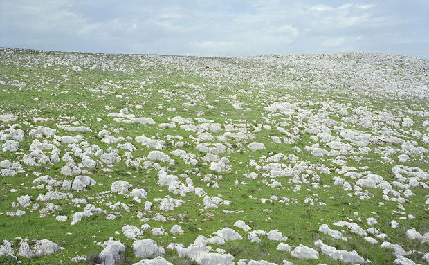 South of Zefat, Israel, 2010, by Stephen Shore 