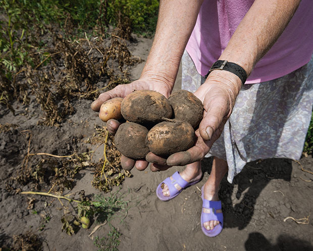 Lyubov Yankelevna, Boryspil, Kyivska District. From Survivors in Ukraine by Stephen Shore