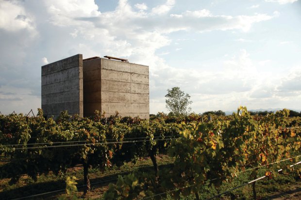 Cuna de Tierra Winery - CCA Centro de Colaboracion Arquitectonica