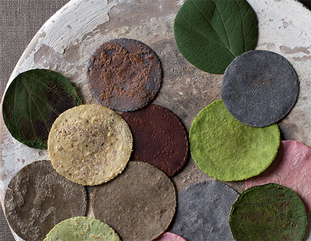 Tortillas, as pictured in Mexico from the Inside Out