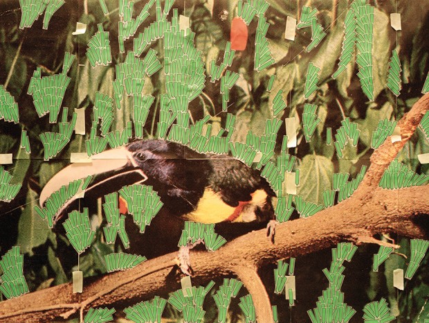 Toucan in Nature (Post-It Notes) (2014) by Sara Cwynar