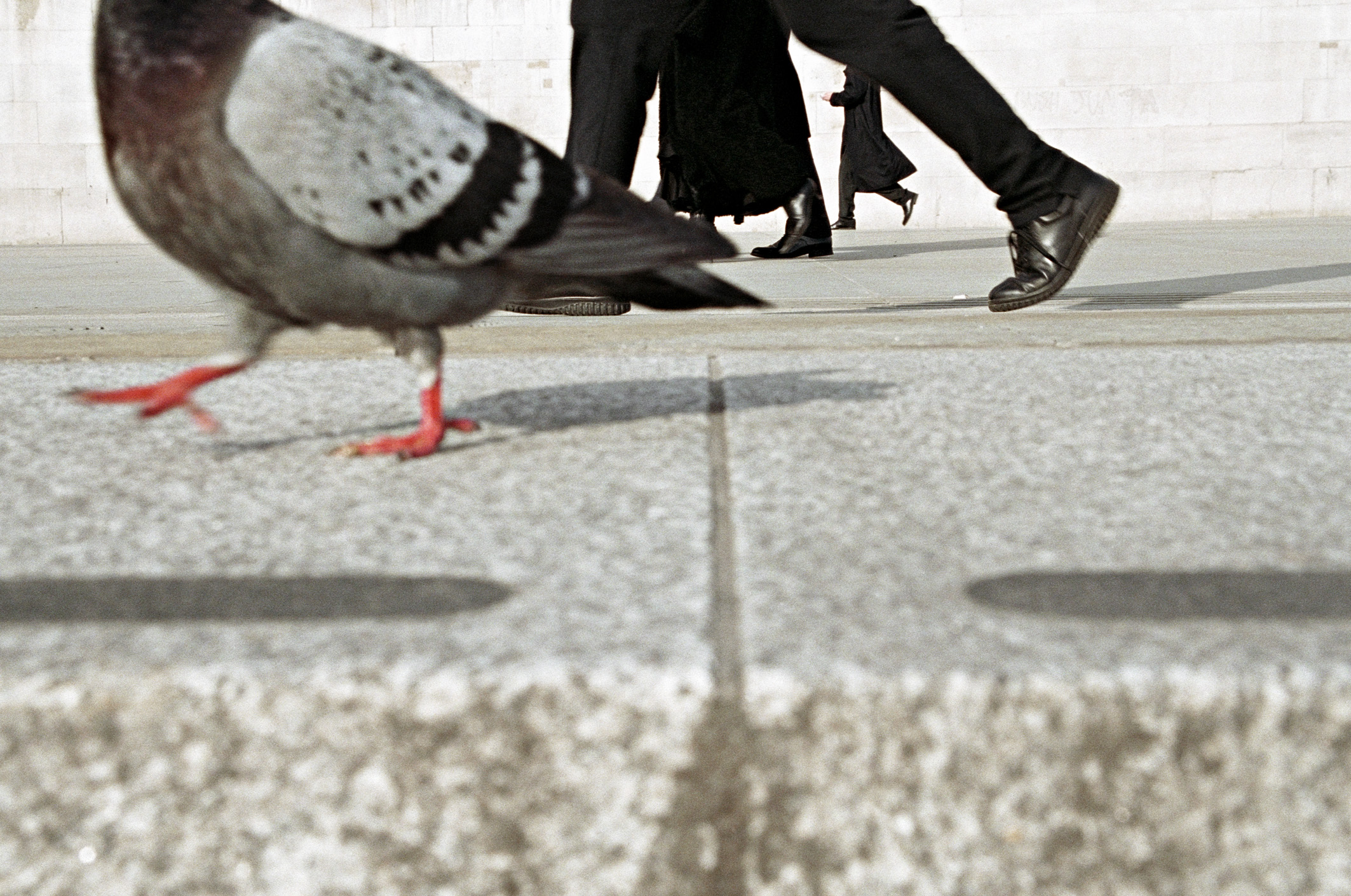 Trafalgar Square, 2006 - Matt Stuart