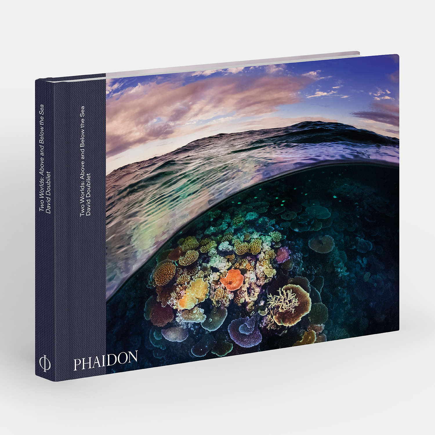 Agenda Phaidon Agenda Phaidon