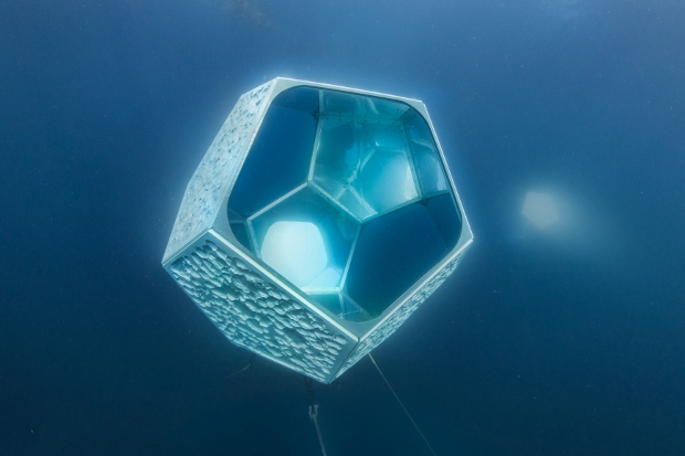 Doug Aitken, Underwater Pavilions, 2016, installation view, Avalon, CA. Courtesy: MOCA Los Angeles and Parley for the Oceans photo by: Shawn Heinrichs