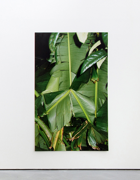Bruno Zhu, Untitled (2012), C-type print, 185 x 127 cm