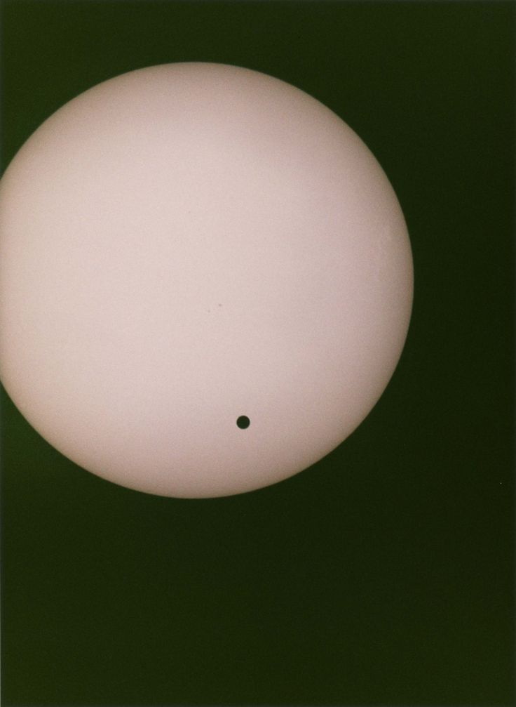 Venus transit, 2004 by Wolfgang Tillmans