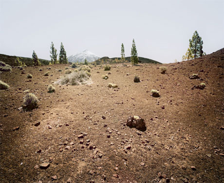 View 12