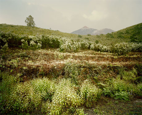 View 7