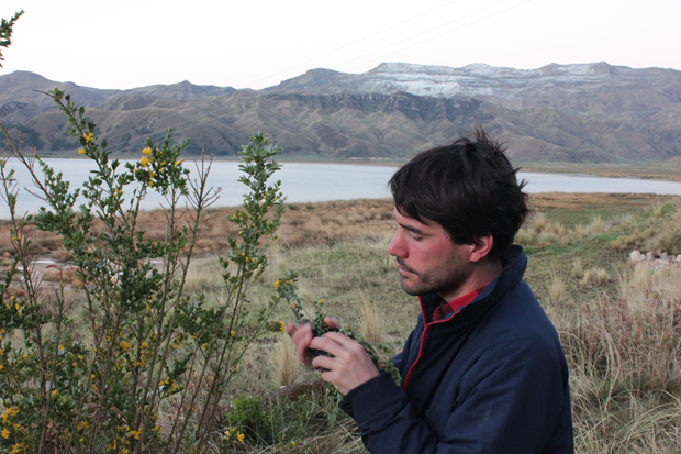 Virgilio Martinez