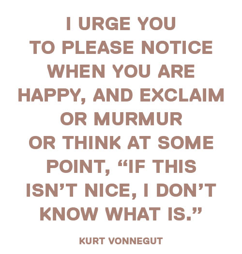 Kurt Vonnegut's words in Every Day a Word Surprises Me & Other Quotes by Writers