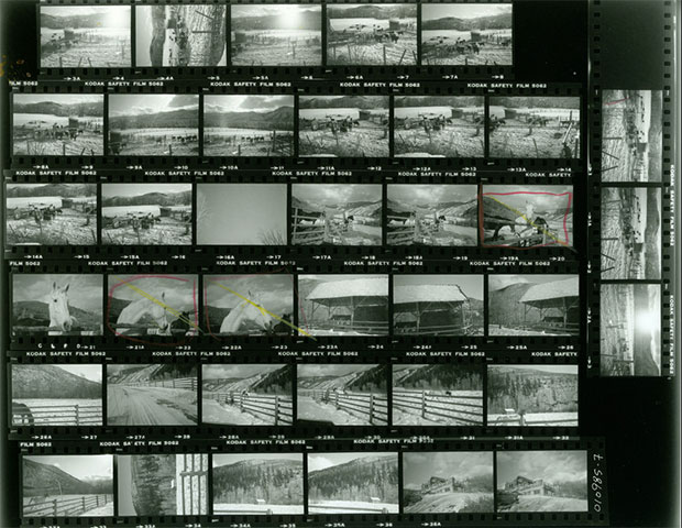 One of Warhol's many contact sheets, which formed part of this round of donation