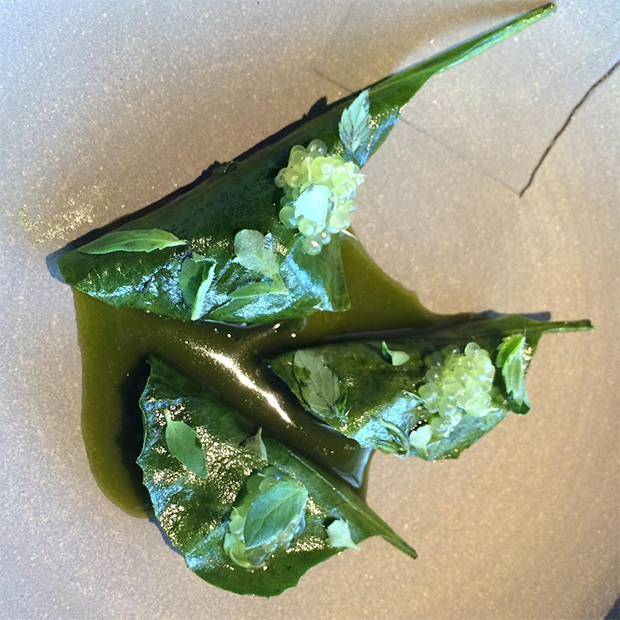 Wattle seed porridge in saltbush leaves. Image courtesy of Roberta Muir's Instagram