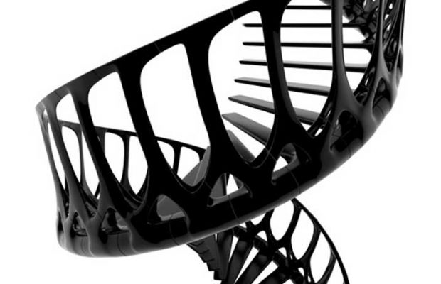 Andrew McConnell's Vertebrae Staircase