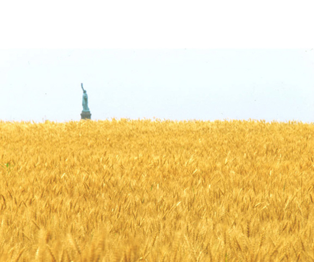 Wheatfield - A Confrontation: Battery Park Landfill, Downtown Manhattan, 1982, by Agnes Denes
