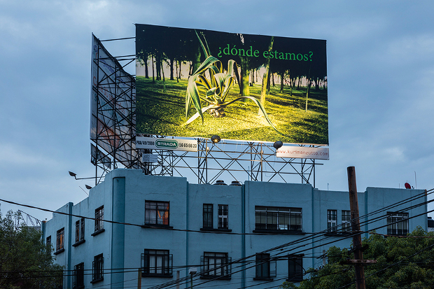 Wolfgang Tillmans' ¿dónde estamos? (2016) at Sonora 128. Photo by Omar Luis Olguín