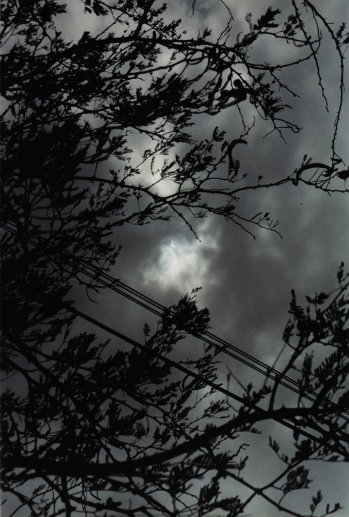 ECLIPSE 2-3 (1998) by Wolfgang Tillmans. Image courtesy of Sotheby’s