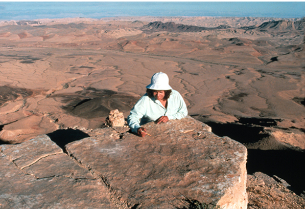 Art on the Edge, Mahtesh Ramon Crater, Mitzpe Ramon, Israel 1995 by Agnes Denes