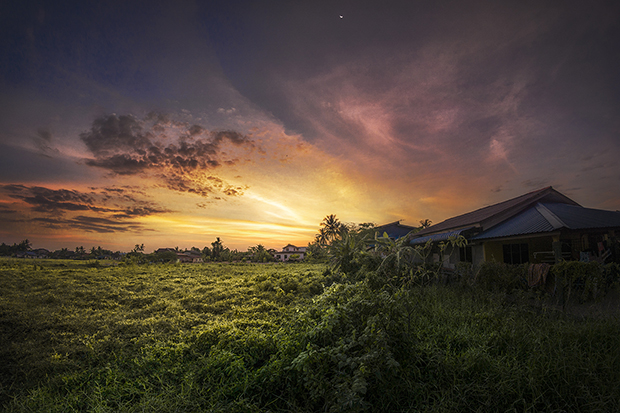 Further submissions from Yong Lin Tan, Youth Photographer of the Year 2015