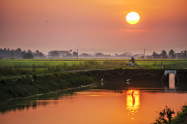 Further submissions from Yong Lin Tan, Youth Photographer of the Year 2015